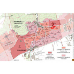 Chambolle-Musigny 1er Cru Les Baudes