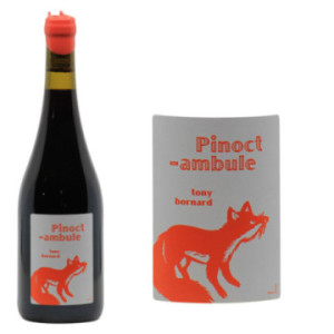 Vin de France Pinot Noir "Le Pinoctambule"