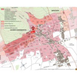 Gevrey-Chambertin 1er Cru Le Fonteny