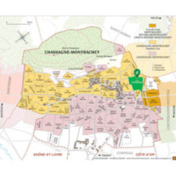Chassagne-Montrachet 1er Cru Blanc Les Chenevottes