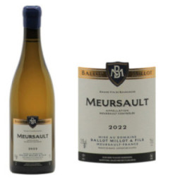 Meursault Blanc