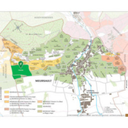 Meursault 1er Cru Les Charmes-Dessus