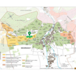 Meursault 1er Cru Les Bouchères