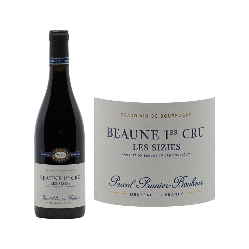 Beaune 1er Cru Les Sizies