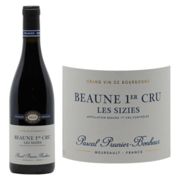 Beaune 1er Cru Les Sizies