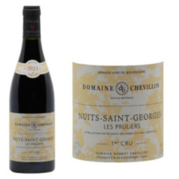 Nuits-Saint-Georges 1er Cru Les Pruliers