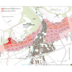 Nuits-Saint-Georges 1er Cru Les Vaucrains