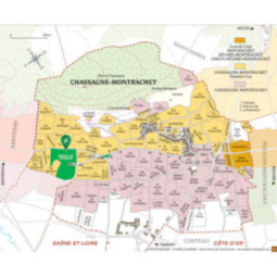 Chassagne-Montrachet 1er Cru Rouge Clos du Château 'Monopole'