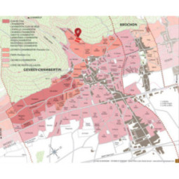 Gevrey-Chambertin 1er Cru Poissenot