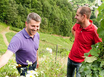 Les vins du domaine des Ardoisières