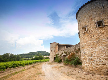 Les vins du domaine de la famille Perrin