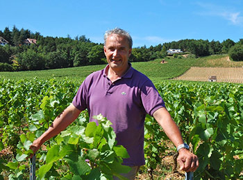 Les vins du domaine François Lumpp