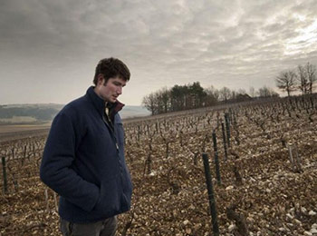 Les vins du domaine Goisot