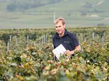 Les vins du domaine Benjamin Leroux