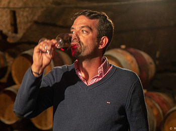 Les vins du domaine Guiberteau