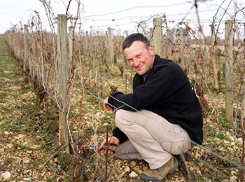 Les vins du domaine Hubert Lamy