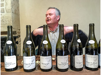 Les vins du domaine Jean-Michel Giboulot