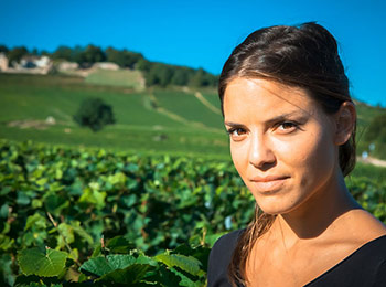 Les vins du domaine Joblot