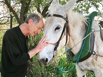 Les vins du domaine Les Aurelles