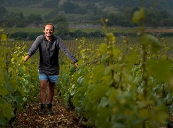 Les vins du domaine Michel Bouzereau