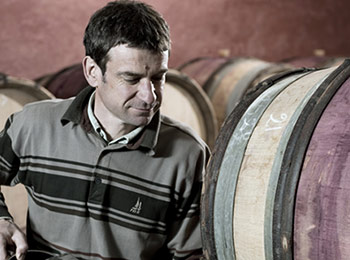 Les vins du domaine Rapet