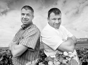 Les vins du domaine Robert Chevillon