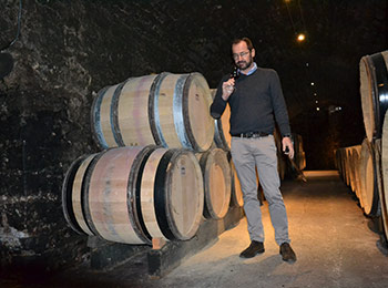 Les vins du domaine Seguin-Manuel