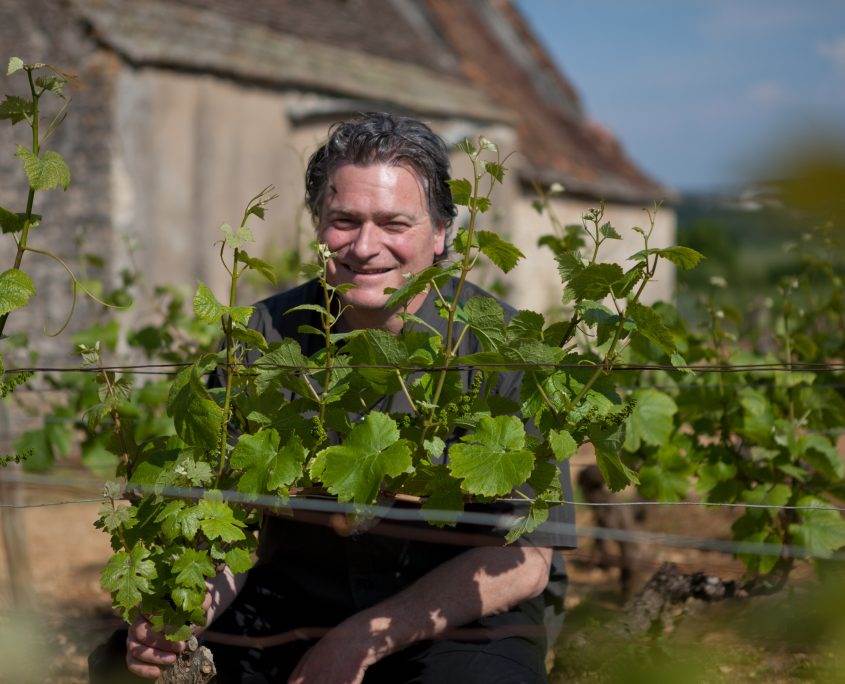 Les vins du domaine Tawse et de la maison Marchand-Tawse