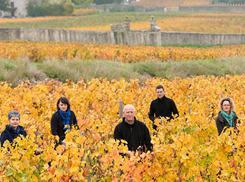 Les vins du domaine de la Gibryotte
