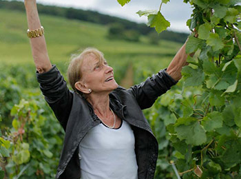 Les vins des domaines Leroy et Maison Leroy