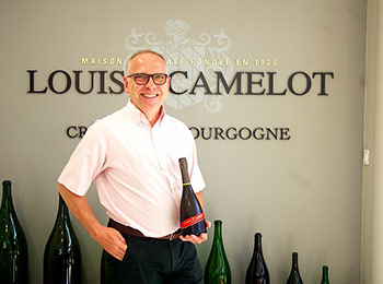 Les vins de la maison Louis Picamelot