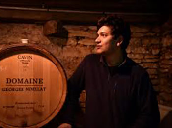 Les vins des domaines Georges Noëllat & Maxime Cheurlin-Noëllat