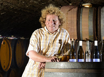 Les vins du domaine Sylvain Pataille