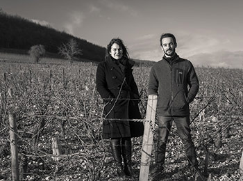 Les vins du domaine Paul Jacqueson