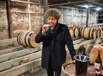 Les vins de la maison Philippe Pacalet