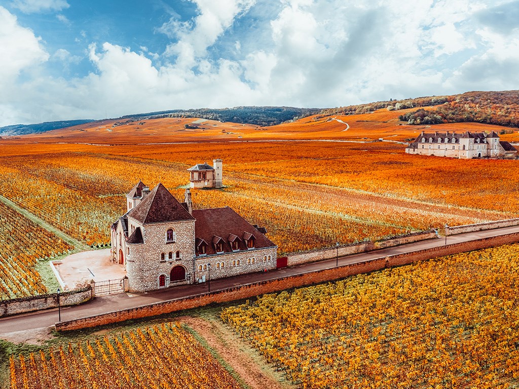 Pouilly-Vinzelles, les grands vins blancs de Pouilly