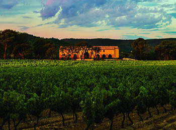 Les vins de Château Saint-Maur