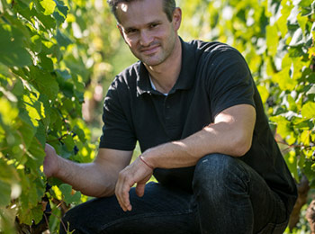 Château de Marsannay