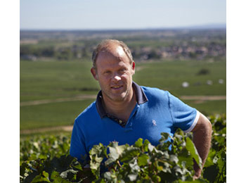 Domaine Rodolphe Demougeot