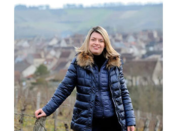 Domaine Stéphanie Colinot