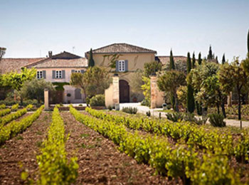 Les vins du domaine du Château de Beaucastel