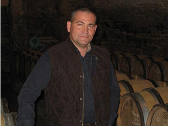 Les vins du domaine David Moret