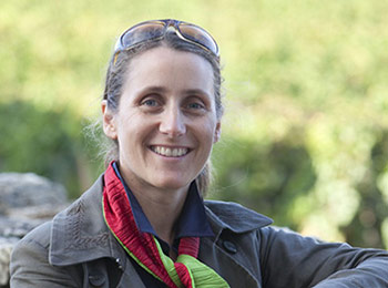 Les vins du domaine Au pied du Mont-Chauve