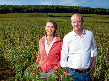 Les vins du domaine Chandon de Briailles