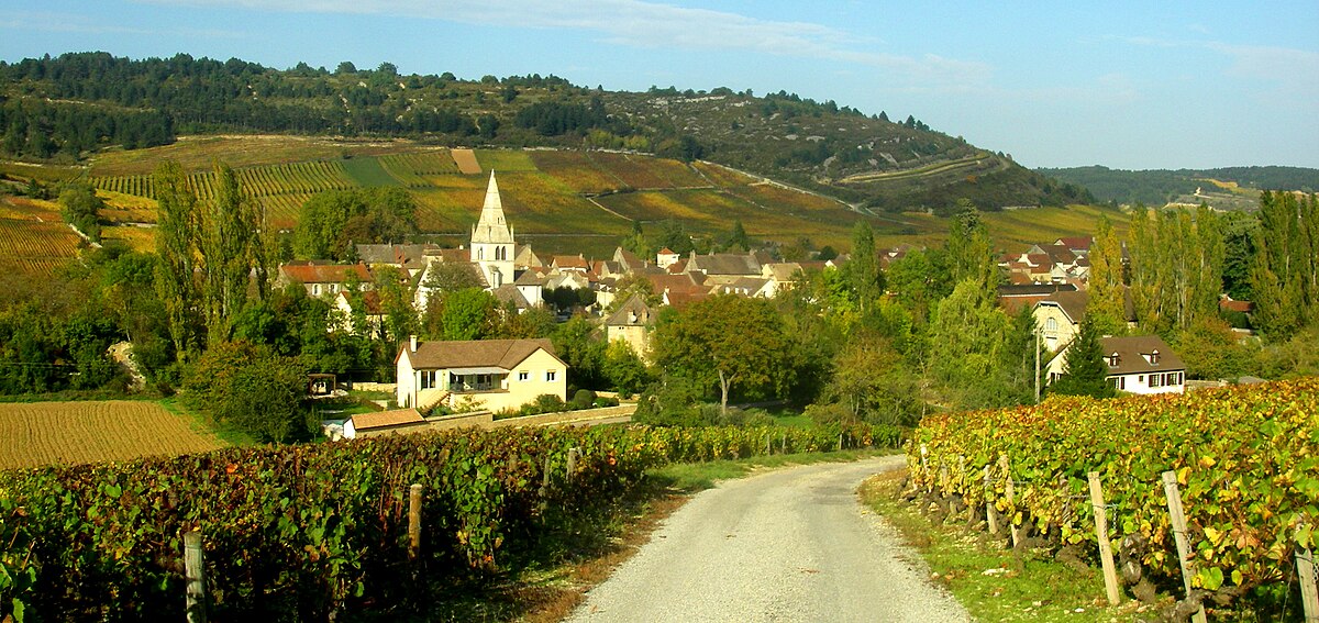 Appellation Auxey-Duresses