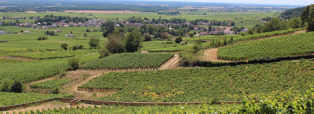 Appellation Chambertin Grand Cru