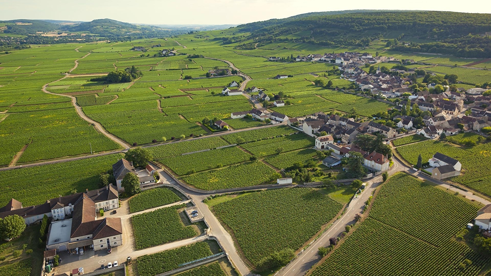 Appellation Chassagne-Montrachet