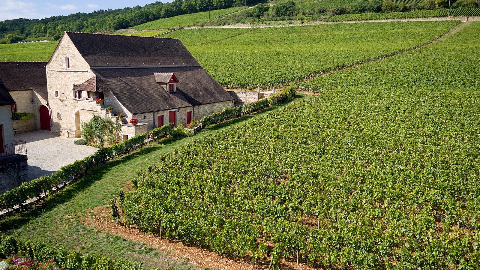 Appellation Clos-de-Tart grand cru