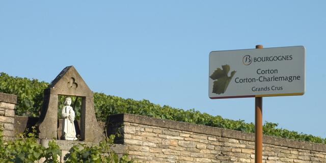 Corton-Charlemagne Grand Cru