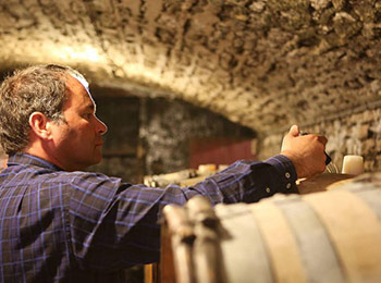 Domaine Rémi Jobard